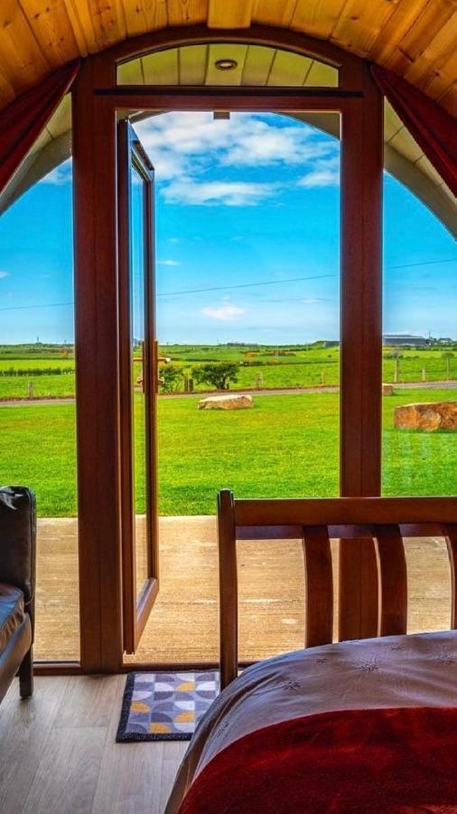 ホテル Causeway Country Pods ブッシュミルズ エクステリア 写真