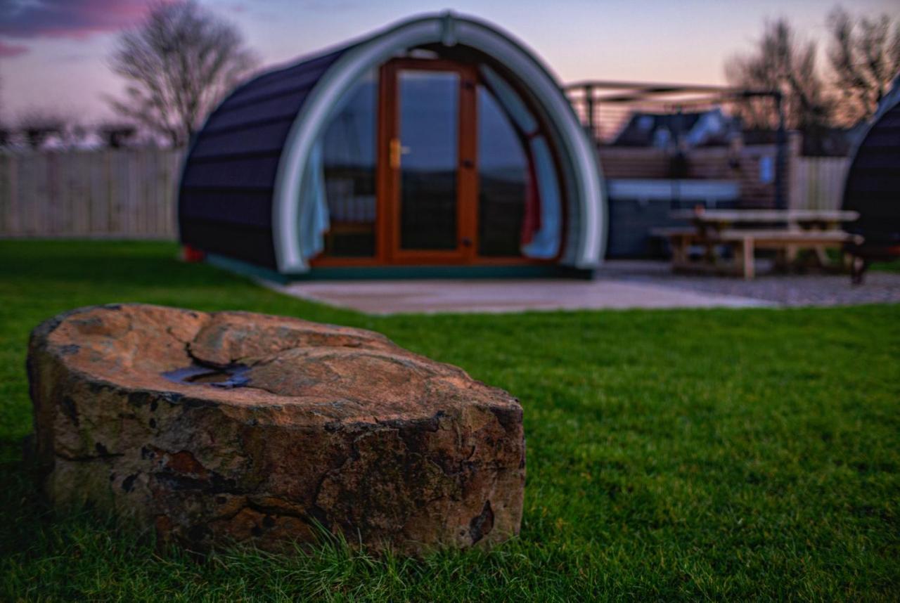 ホテル Causeway Country Pods ブッシュミルズ エクステリア 写真