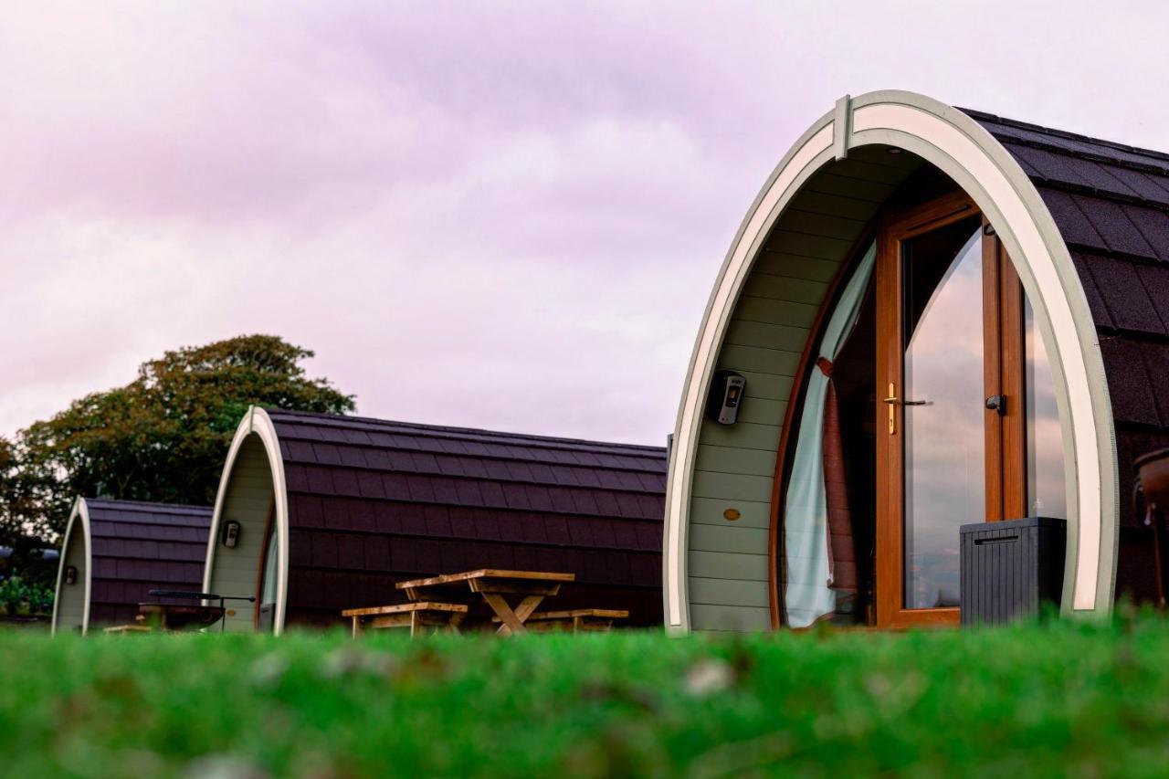 ホテル Causeway Country Pods ブッシュミルズ エクステリア 写真